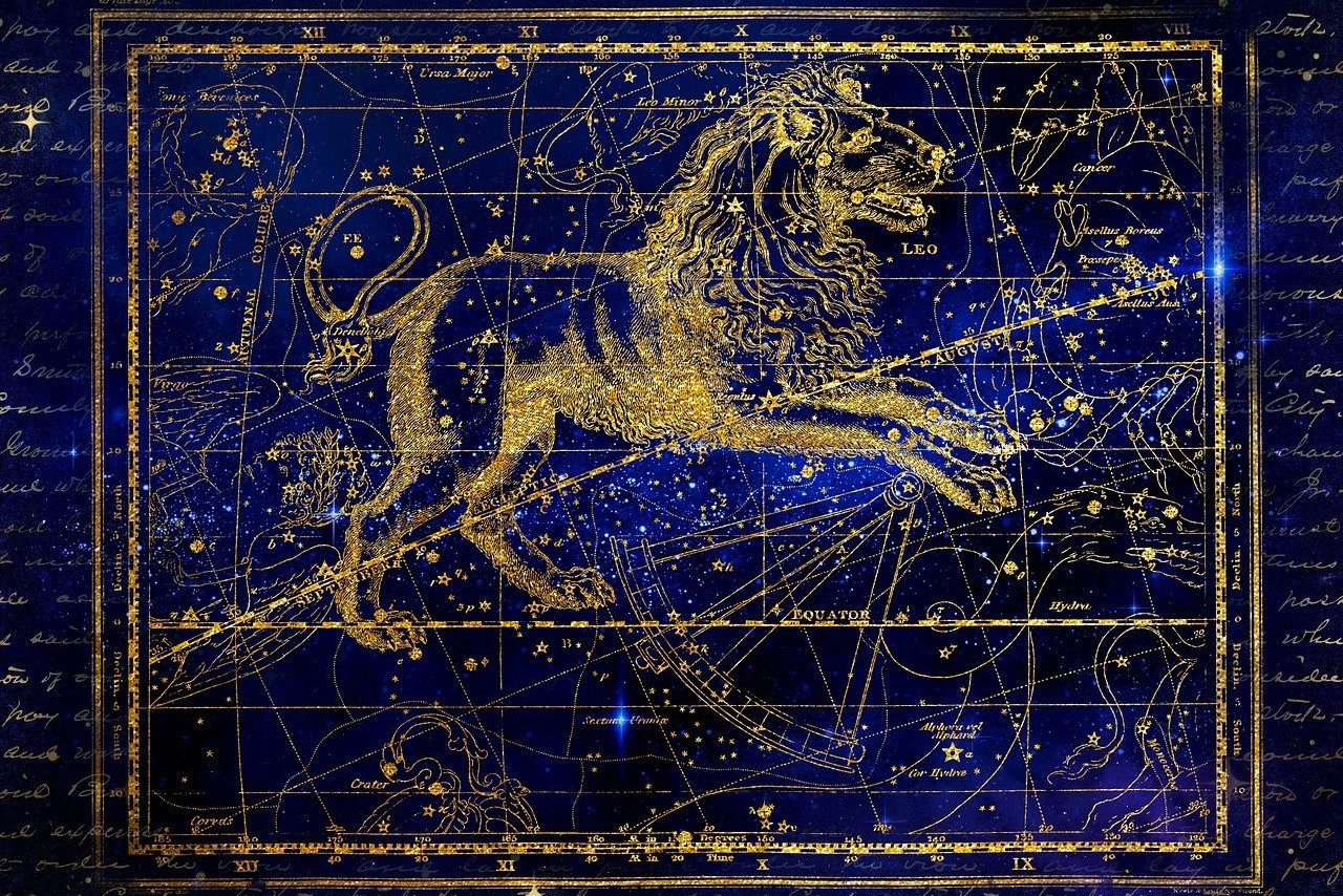 Prestižna darila, SPA tretmaji in drugi načini, s katerimi boste osrečili leva, kralja vseh živali